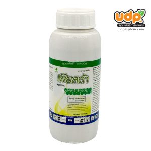 เฟียสต้า 500 ซีซี (x18)