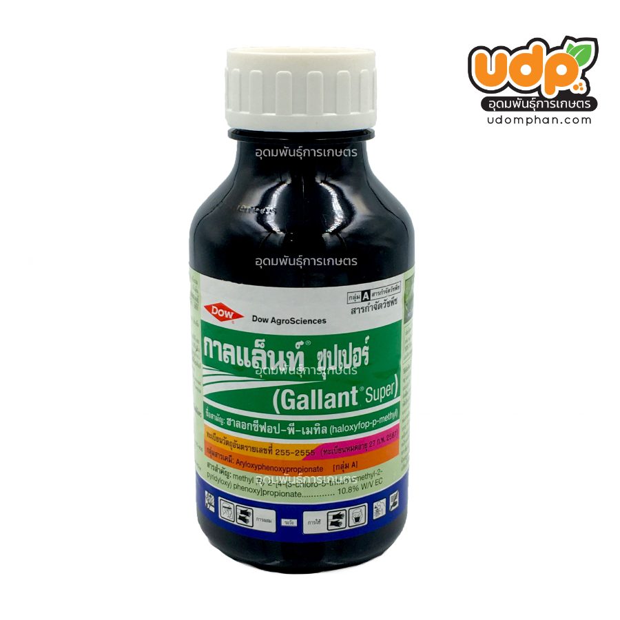 กาลแล็นท์ 500 ซีซี (x20)